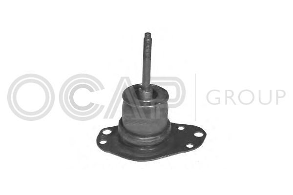 Variklio montavimas OCAP 1225676