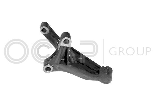 Variklio montavimas OCAP 1225677