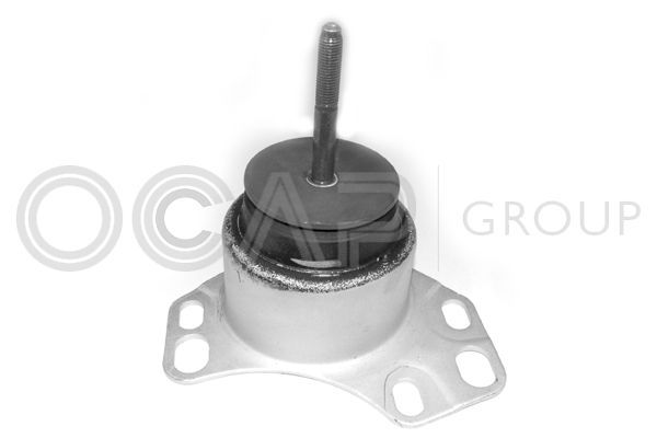 Variklio montavimas OCAP 1225678