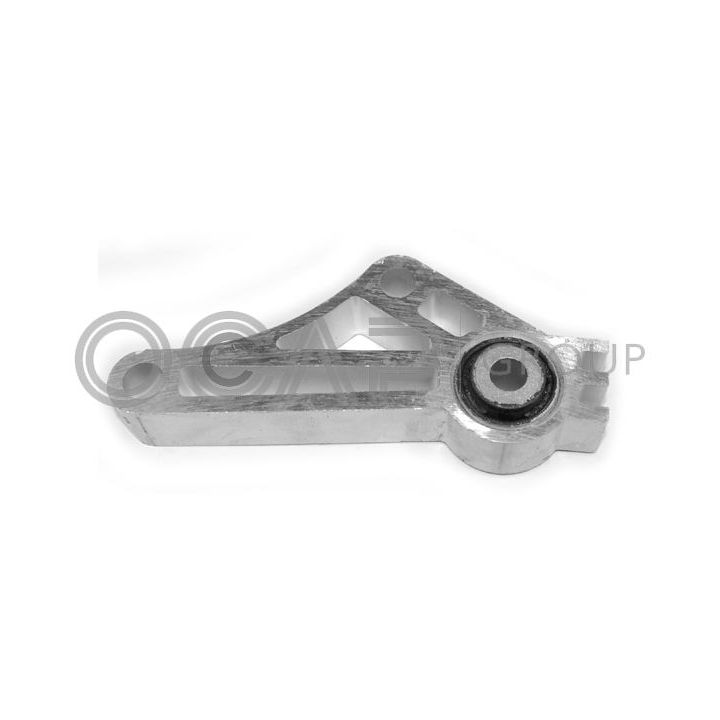 Variklio montavimas OCAP 1225690