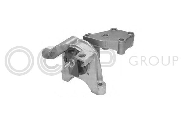 Variklio montavimas OCAP 1225691