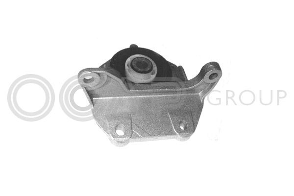 Variklio montavimas OCAP 1225692