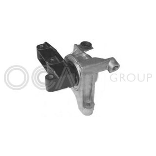 Variklio montavimas OCAP 1225695