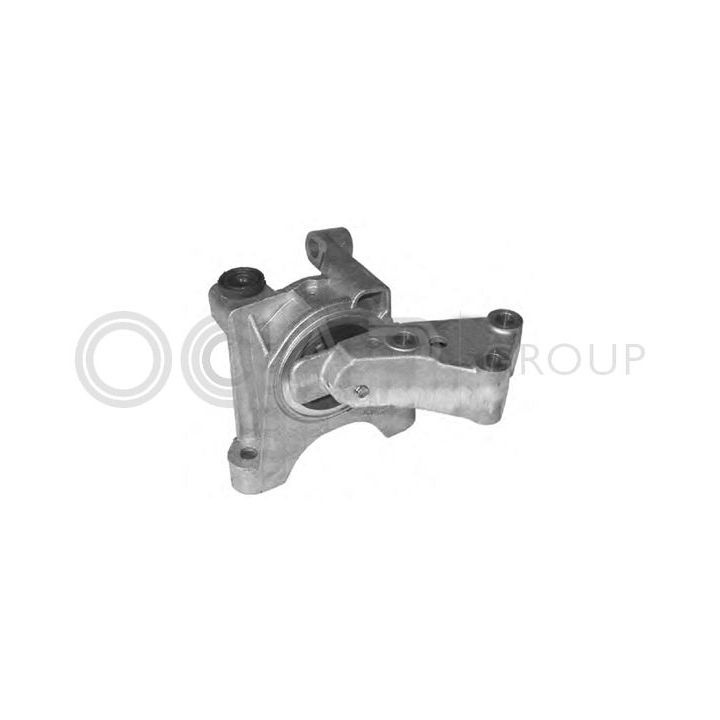 Variklio montavimas OCAP 1225697