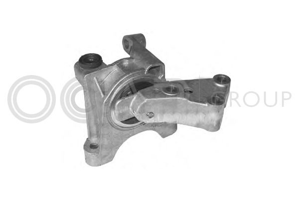 Variklio montavimas OCAP 1225697