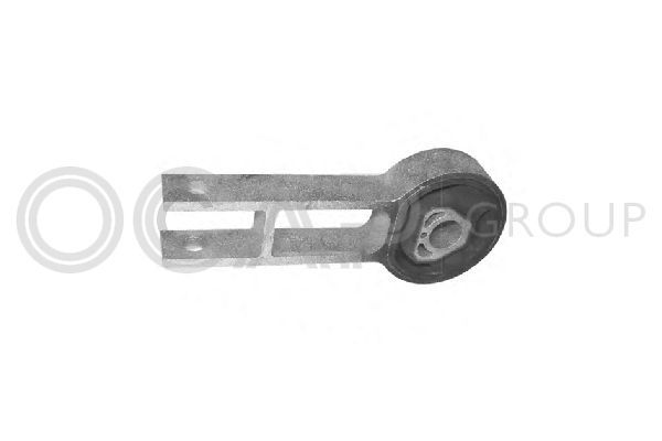 Variklio montavimas OCAP 1225699