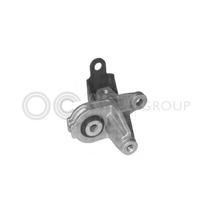 Variklio montavimas OCAP 1225700