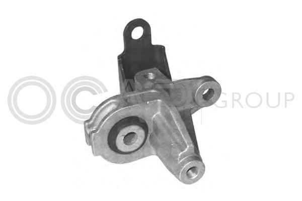 Variklio montavimas OCAP 1225700