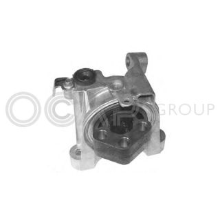 Variklio montavimas OCAP 1225701