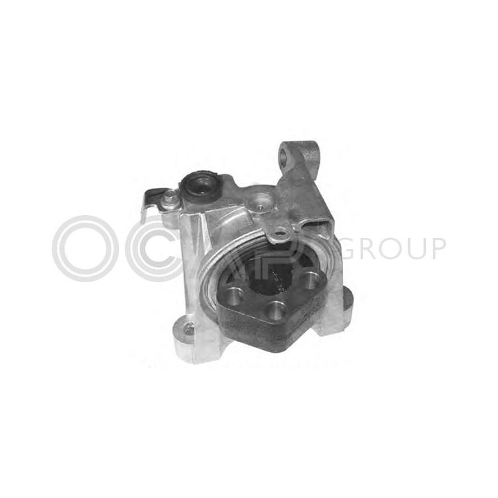 Variklio montavimas OCAP 1225701