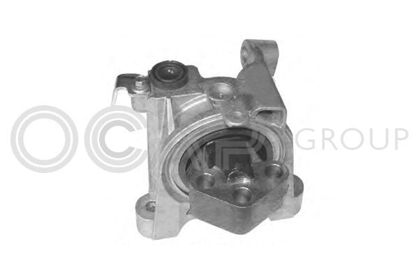 Variklio montavimas OCAP 1225702