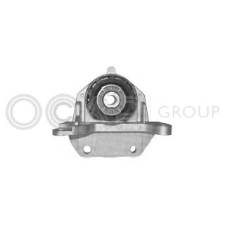 Variklio montavimas OCAP 1225705