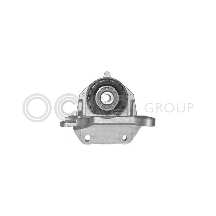 Variklio montavimas OCAP 1225705