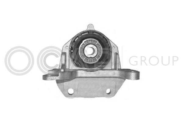 Variklio montavimas OCAP 1225705