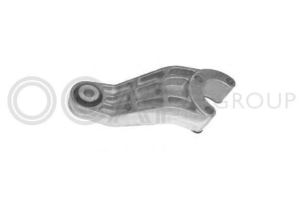 Variklio montavimas OCAP 1225706