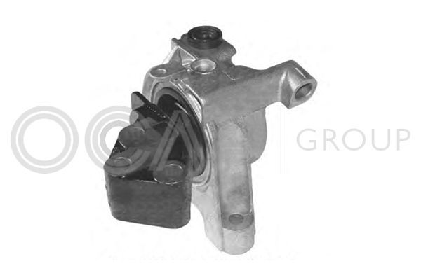 Variklio montavimas OCAP 1225707