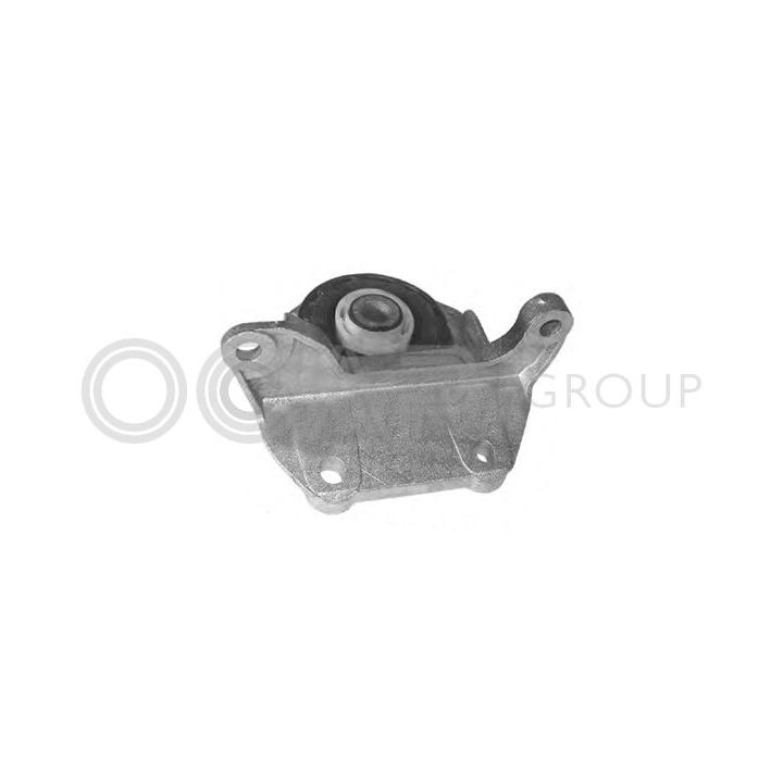 Variklio montavimas OCAP 1225708