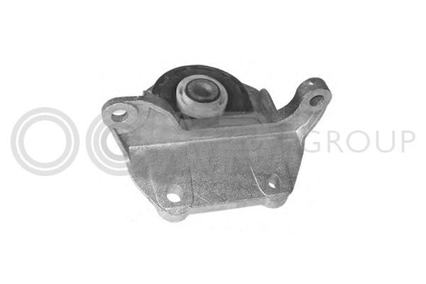 Variklio montavimas OCAP 1225708