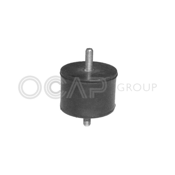 Variklio montavimas OCAP 1225721