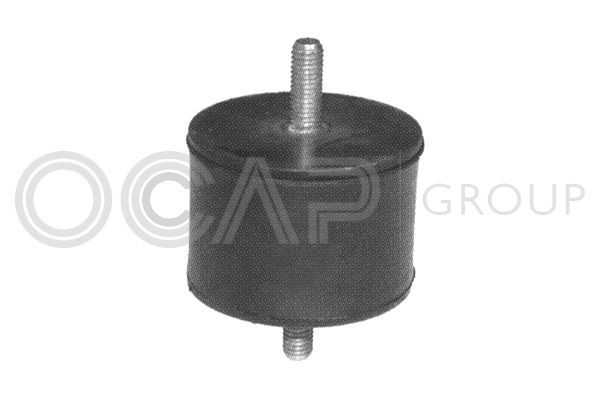 Variklio montavimas OCAP 1225721