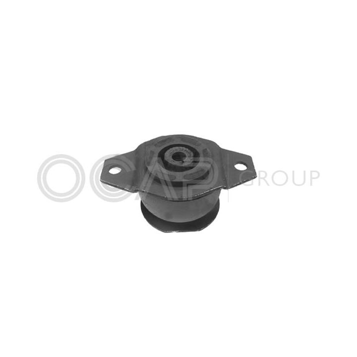 Variklio montavimas OCAP 1225741