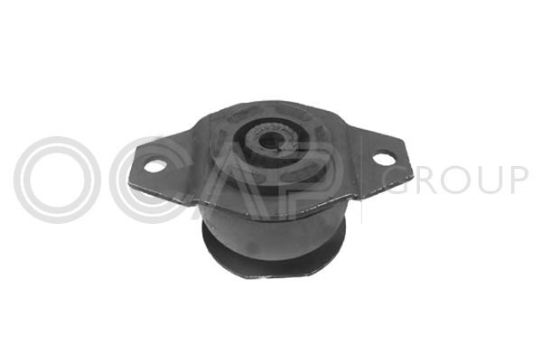 Variklio montavimas OCAP 1225741