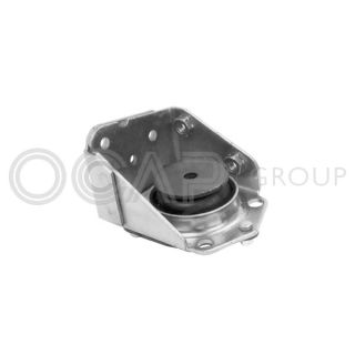 Variklio montavimas OCAP 1225743