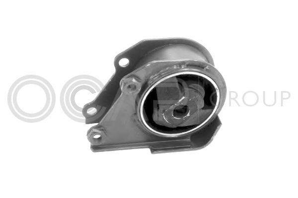 Variklio montavimas OCAP 1225750
