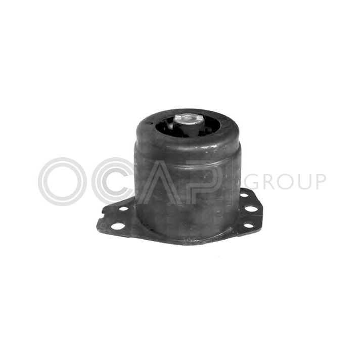 Variklio montavimas OCAP 1225778