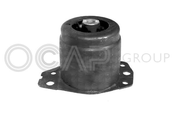 Variklio montavimas OCAP 1225778