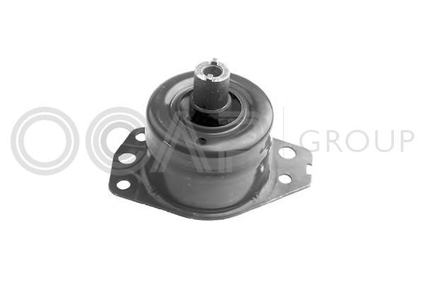 Variklio montavimas OCAP 1225779