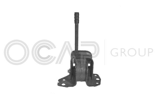 Variklio montavimas OCAP 1225781