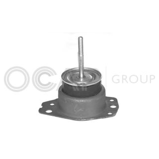 Variklio montavimas OCAP 1225783