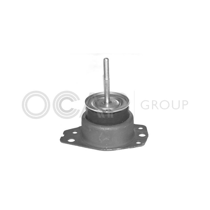 Variklio montavimas OCAP 1225783