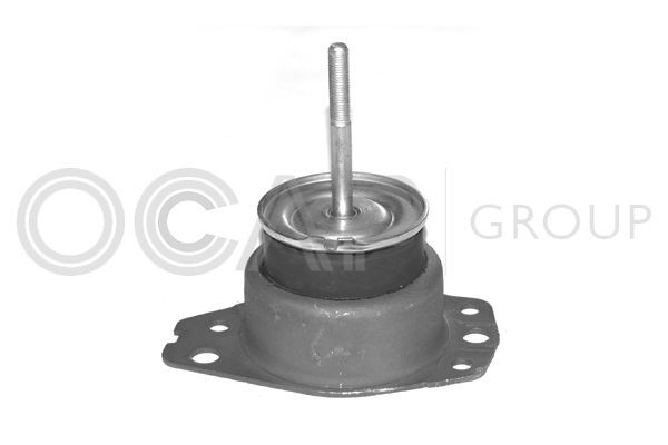 Variklio montavimas OCAP 1225783