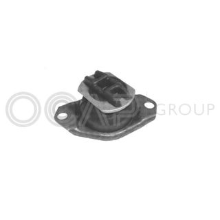 Variklio montavimas OCAP 1225786