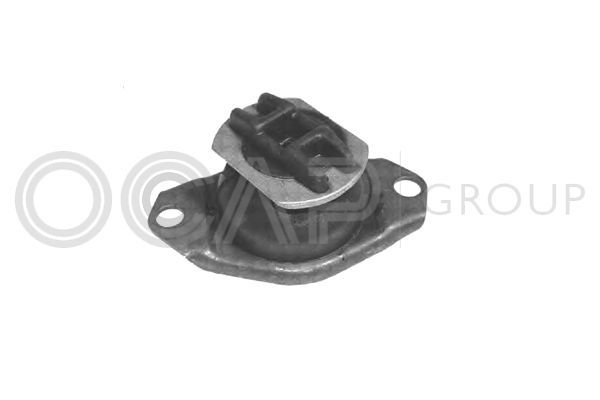 Variklio montavimas OCAP 1225786