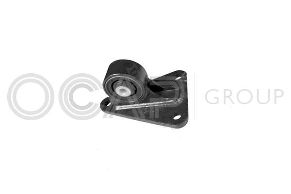 Variklio montavimas OCAP 1225788