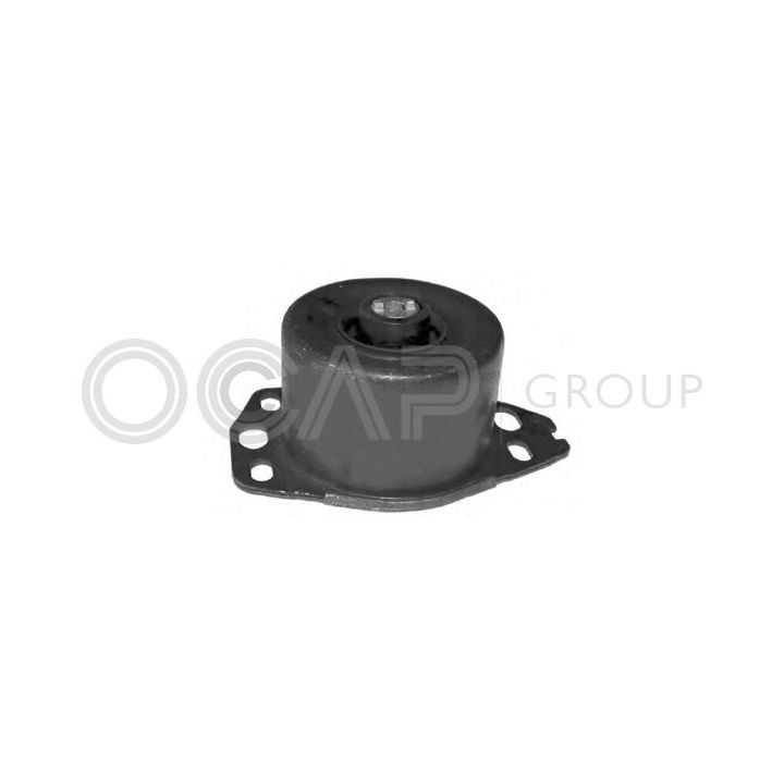 Variklio montavimas OCAP 1225789