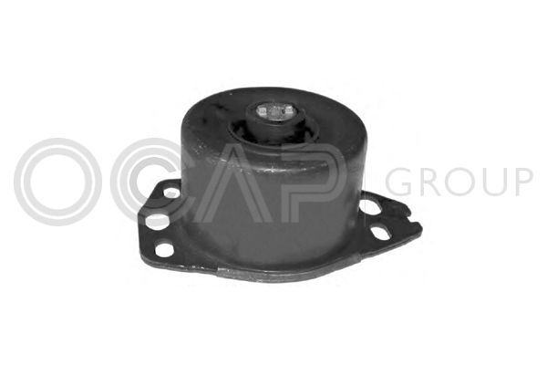 Variklio montavimas OCAP 1225790