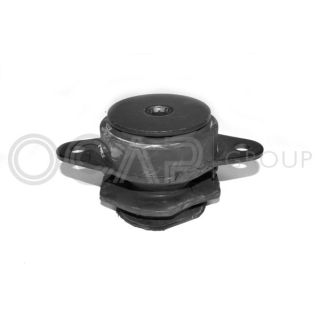 Variklio montavimas OCAP 1225792