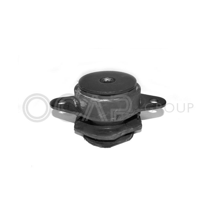 Variklio montavimas OCAP 1225792