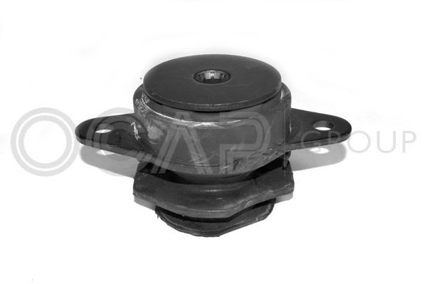 Variklio montavimas OCAP 1225792