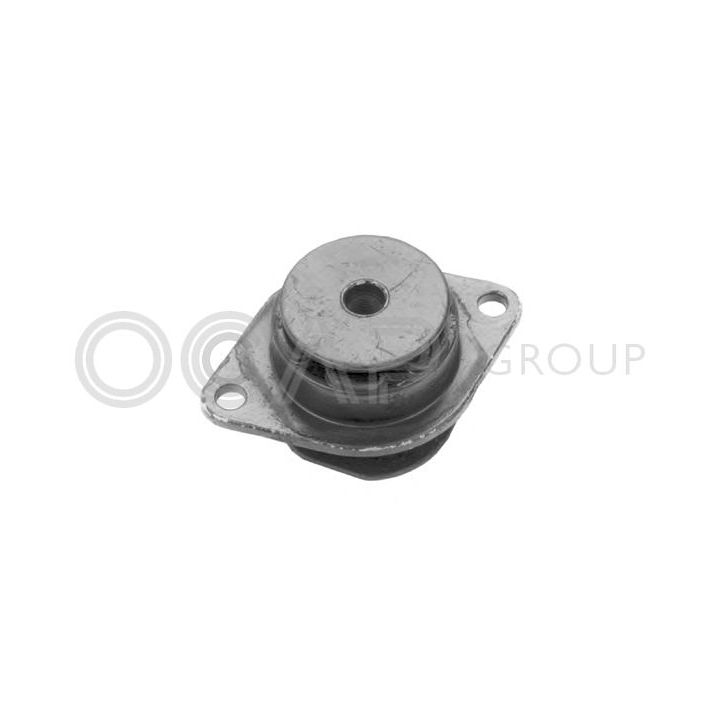 Variklio montavimas OCAP 1225793