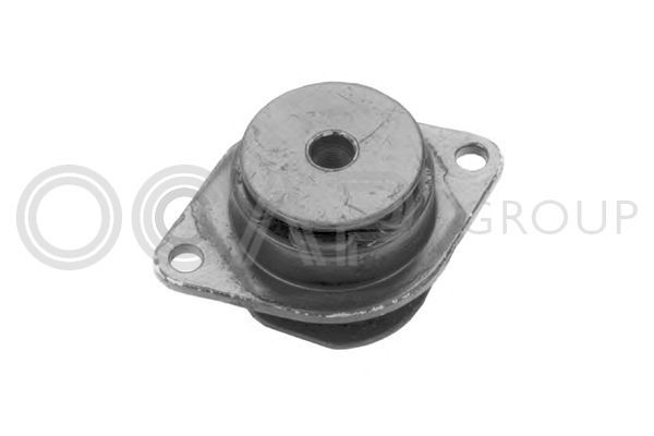 Variklio montavimas OCAP 1225793