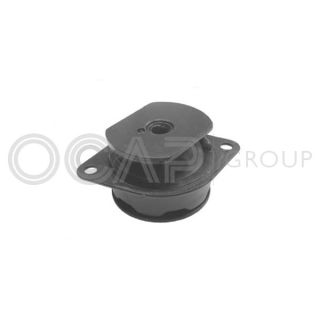 Variklio montavimas OCAP 1225794