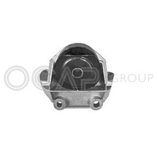 Variklio montavimas OCAP 1225796