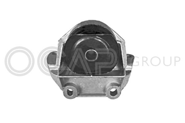 Variklio montavimas OCAP 1225796