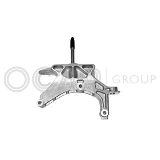 Variklio montavimas OCAP 1225798