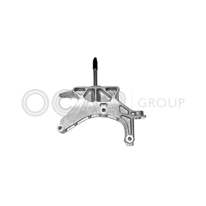 Variklio montavimas OCAP 1225798